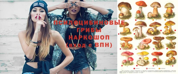 MDMA Premium VHQ Коряжма