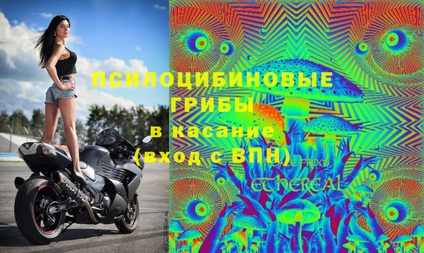 эйфоретик Костерёво